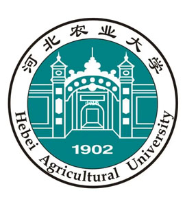 菏泽河北农业大学